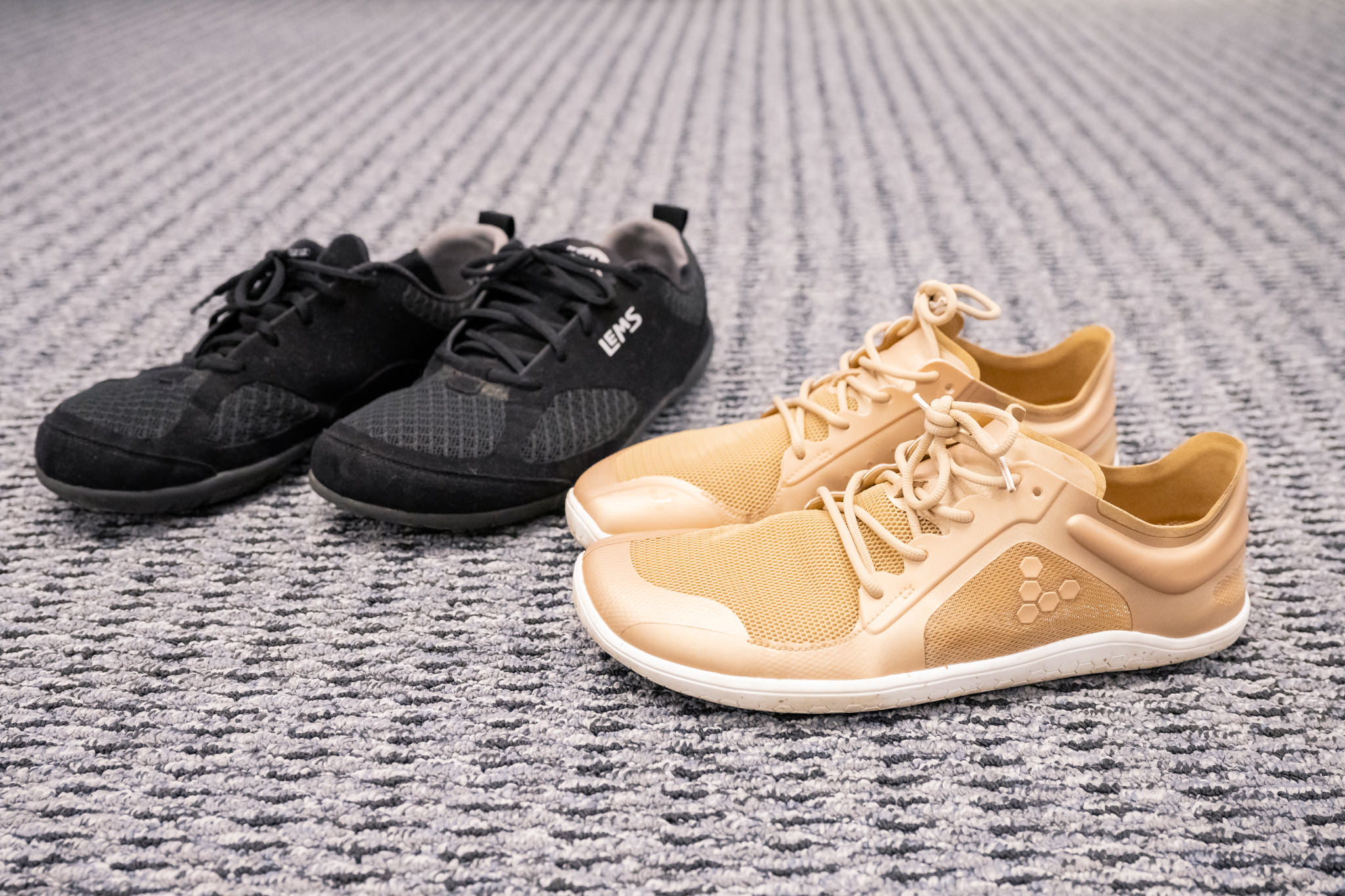 What are minimalist shoes Rose Physical Therapy Group