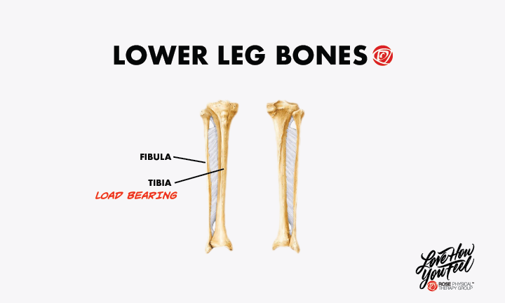 Physical therapy for a tibia and fibula break